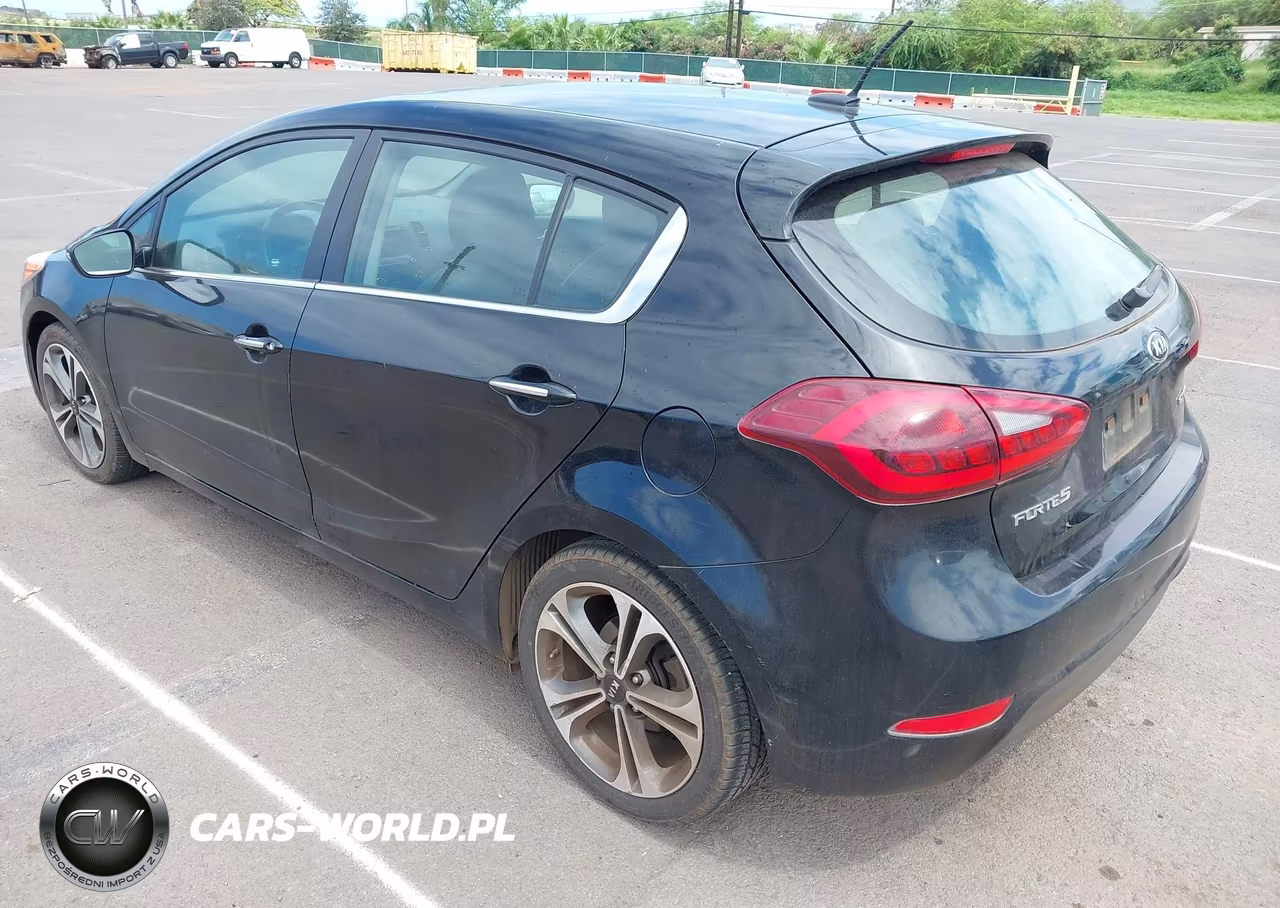2016 Kia Forte Ex VIN:KNAFX5A87G5601276 - 3