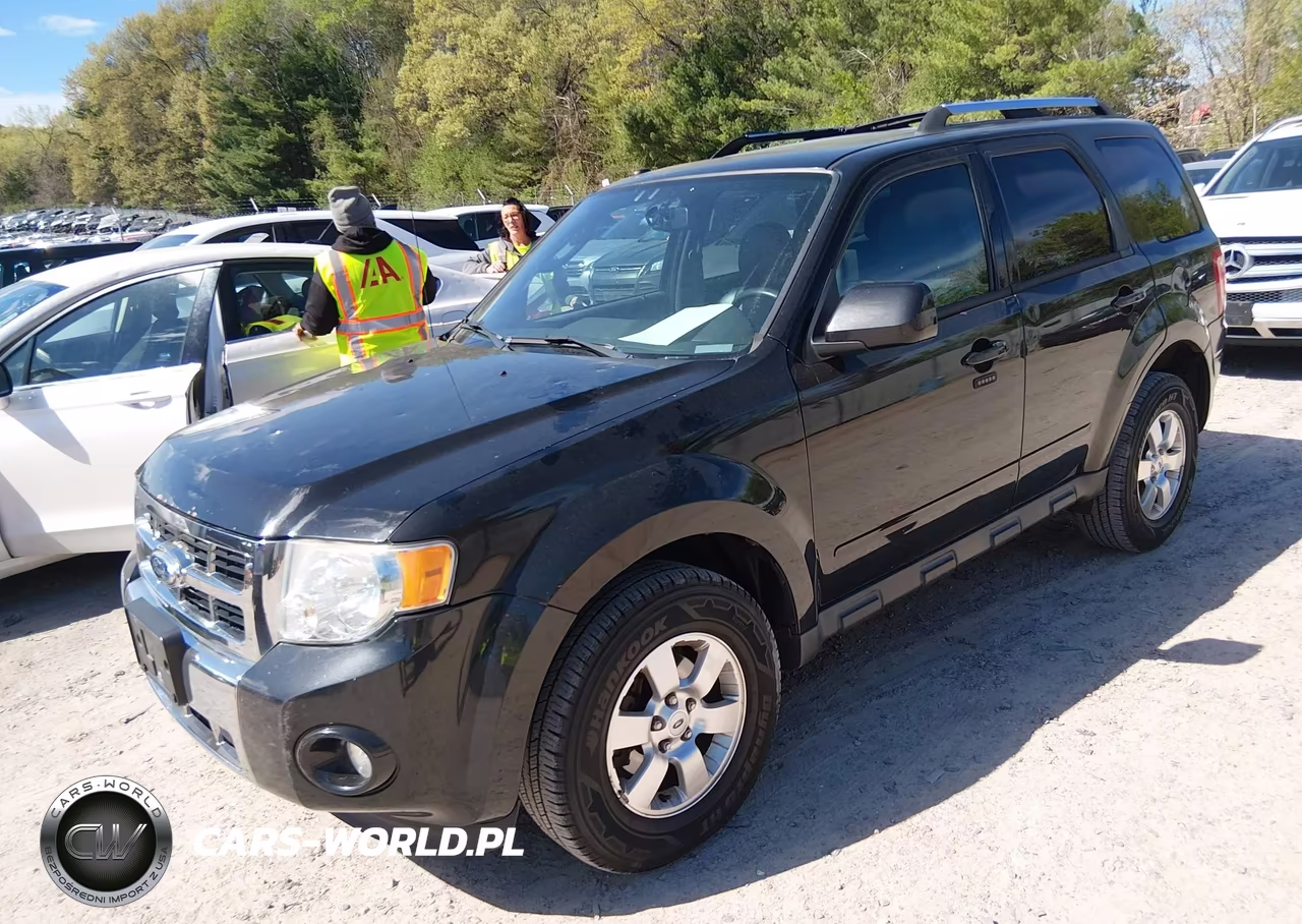 2011 Ford Escape Limited VIN:1FMCU9EG5BKA66882 - 2