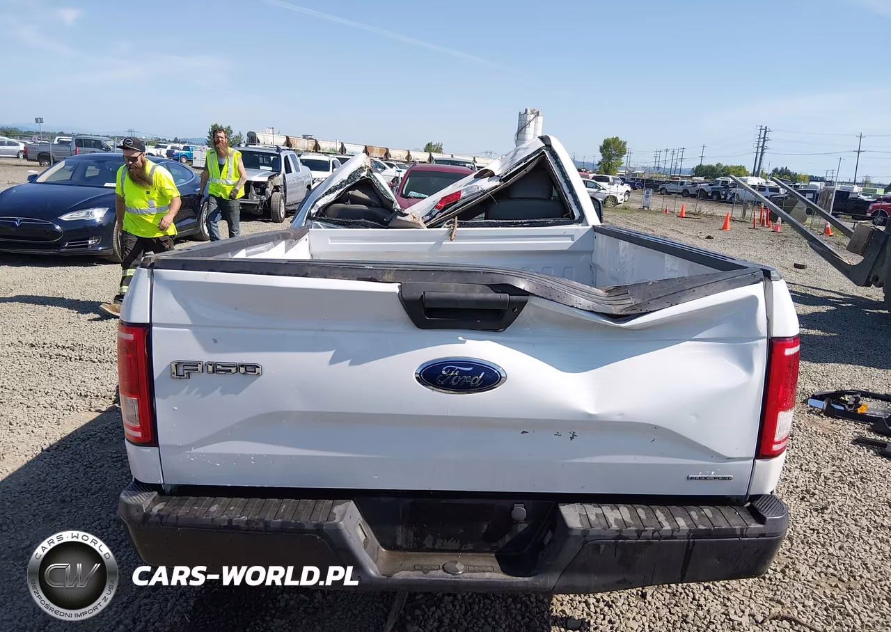 2016 Ford F-150 Xl VIN:1FTMF1C84GFB29258 - 17