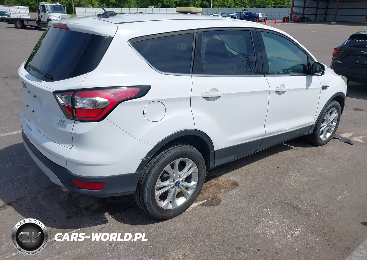 2017 Ford Escape Se VIN:1FMCU0GD2HUD78315 - 4