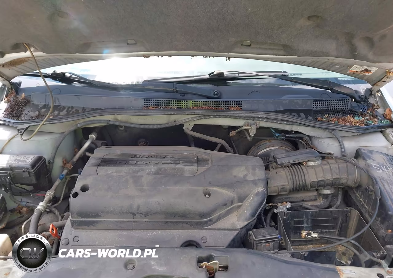 2004 Honda Odyssey Ex-L VIN:5FNRL18904B123196 - 10
