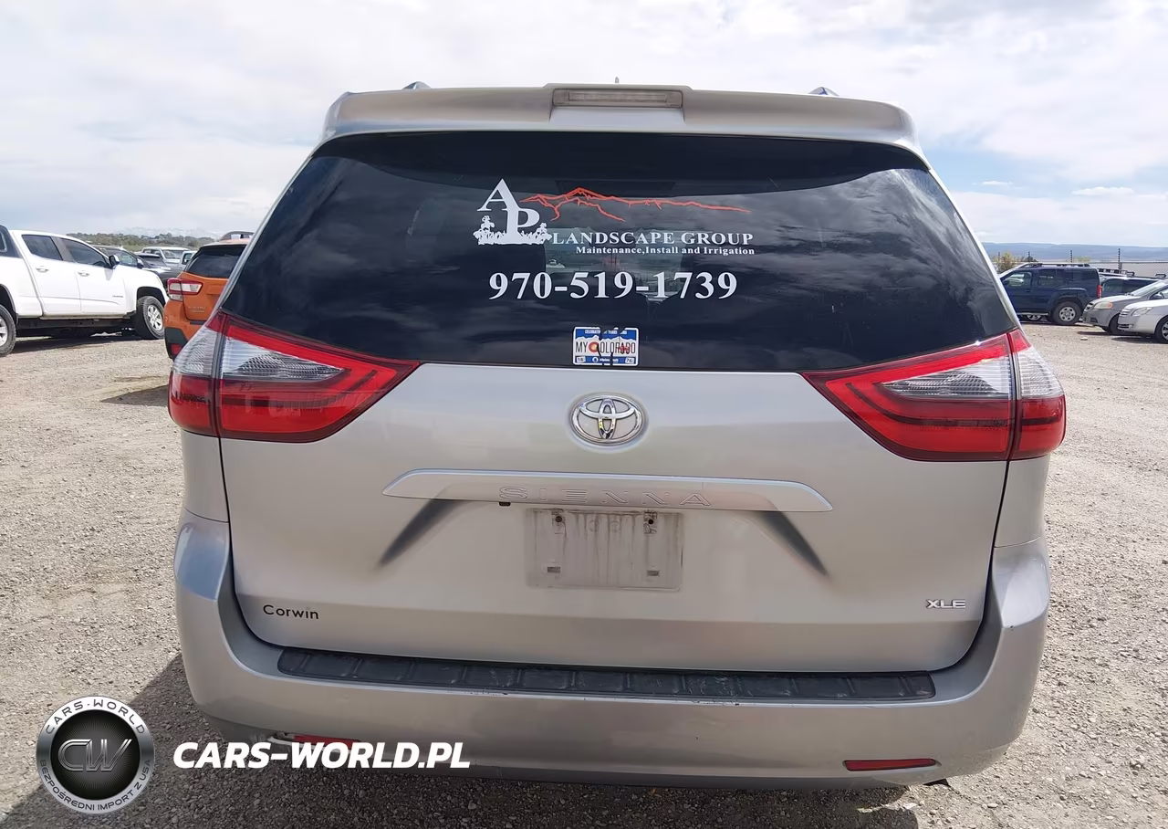 2020 Toyota Sienna Xle VIN:5TDYZ3DC0LS056262 - 16