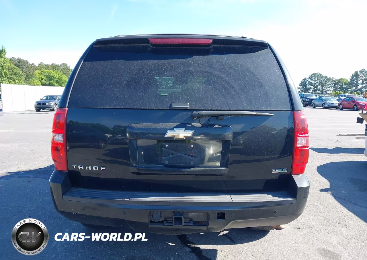 2010 Chevrolet Tahoe Lt VIN:1GNUCBE04AR211090 - 17