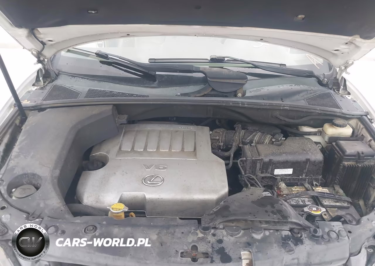 2007 Lexus Rx 350 VIN:2T2GK31UX7C022482 - 10