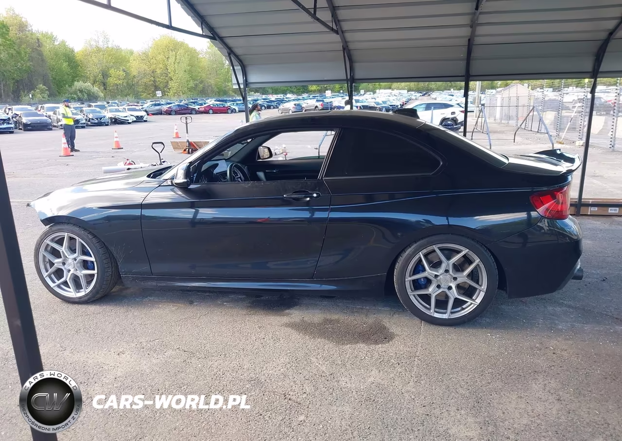 2017 BMW 2 Series M240I xDrive VIN:WBA2G3C33H7A25523 - 15
