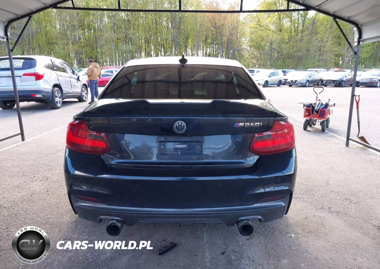 2017 BMW 2 Series M240I xDrive VIN:WBA2G3C33H7A25523 - 17
