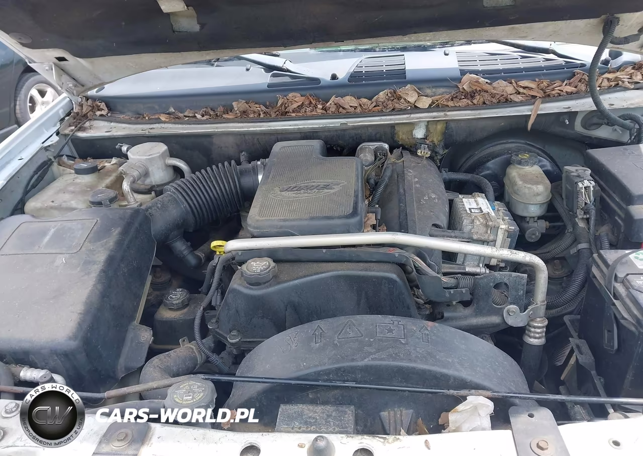 2004 Chevrolet Trailblazer Ls VIN:1GNDS13S742255342 - 10