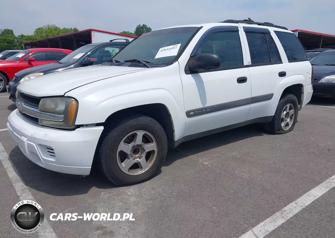 2004 Chevrolet Trailblazer Ls VIN:1GNDS13S742255342 - 2