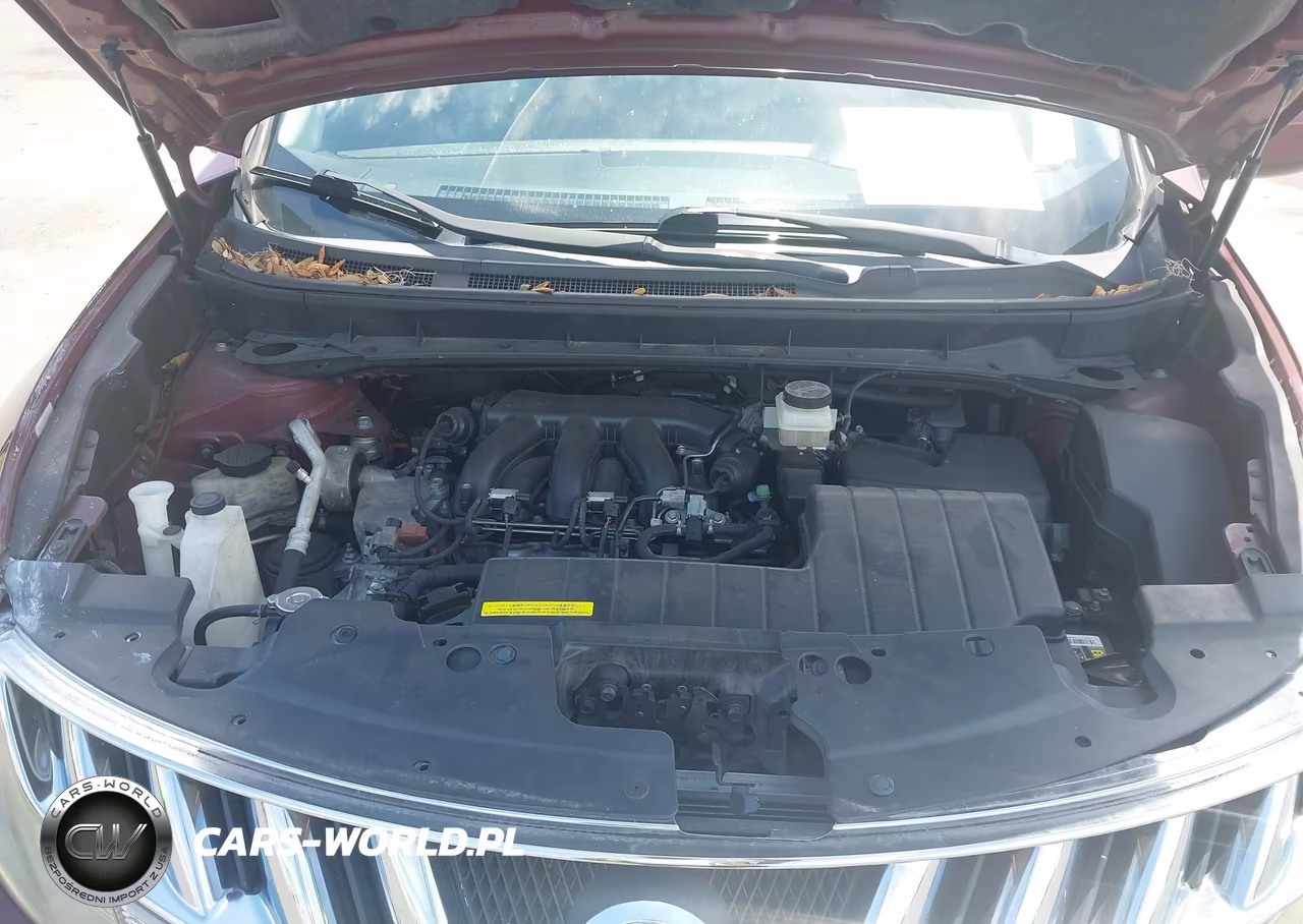 2009 Nissan Murano Sl VIN:JN8AZ18U59W004227 - 10