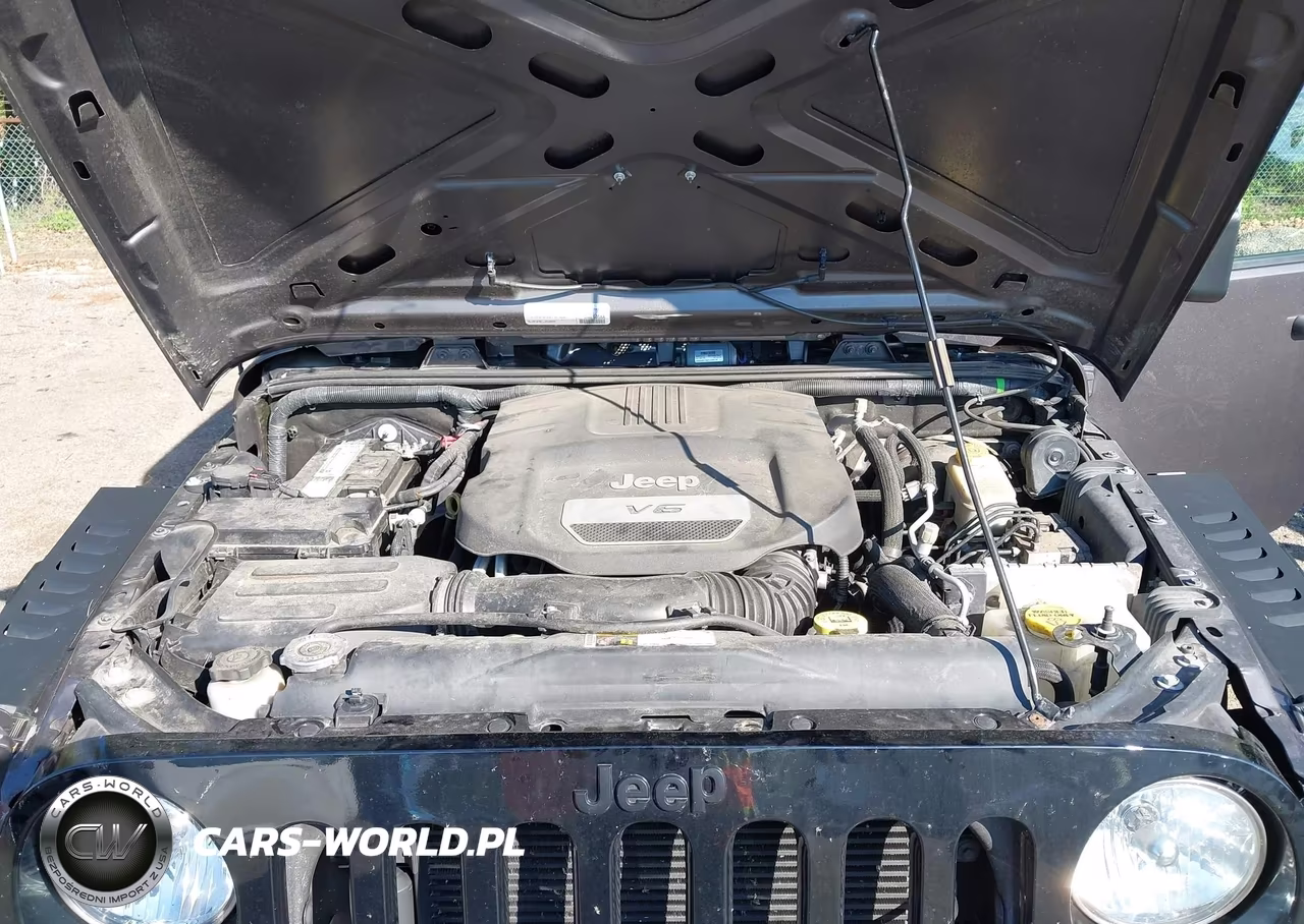 2016 Jeep Wrangler Unlimited Willys Wheeler VIN:1C4BJWDG9GL241127 - 10
