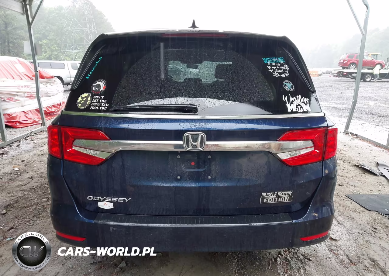 2020 Honda Odyssey Ex-L-Ex-L W-Navi Res VIN:5FNRL6H79LB034219 - 17
