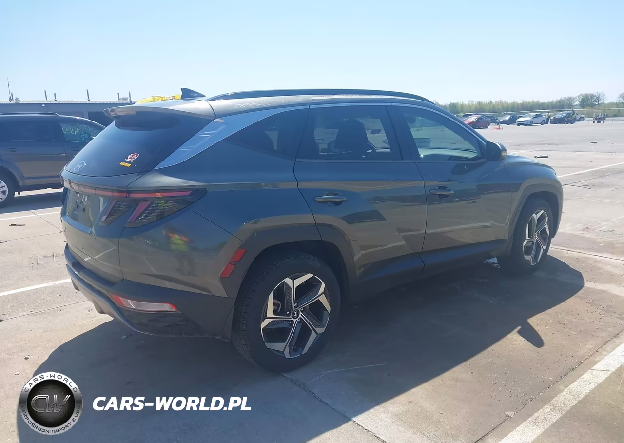 2022 Hyundai Tucson Limited VIN:KM8JE3AE5NU060384 - 4