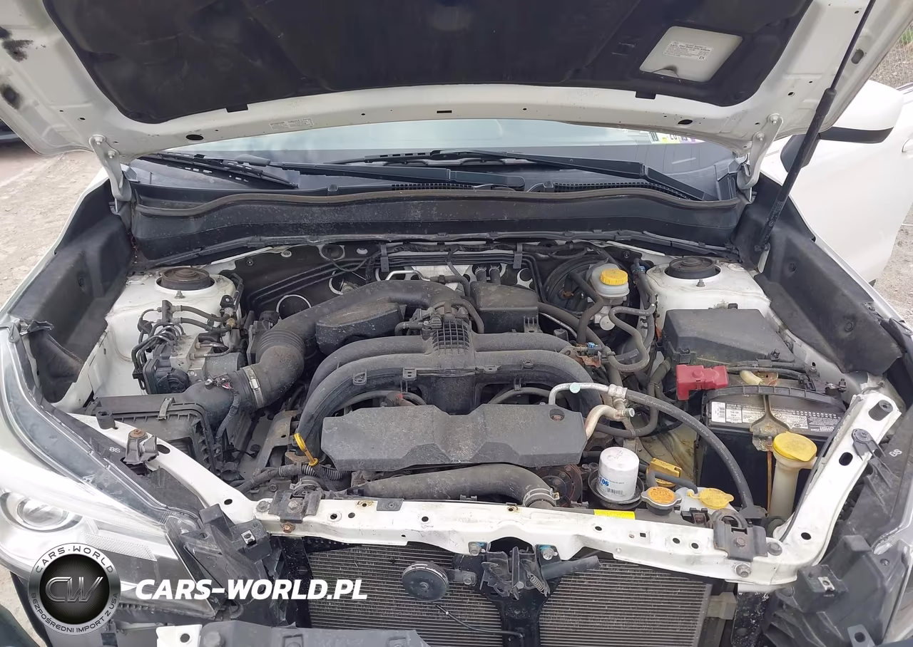 2017 Subaru Forester 2.5I Limited VIN:JF2SJARC9HH426065 - 10