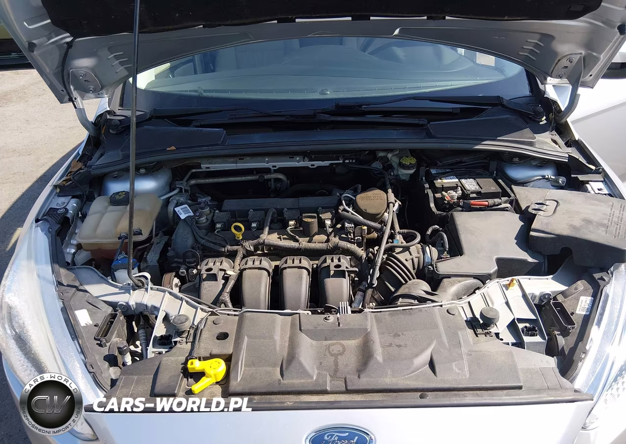 2016 Ford Focus Se VIN:1FADP3F20GL210734 - 10