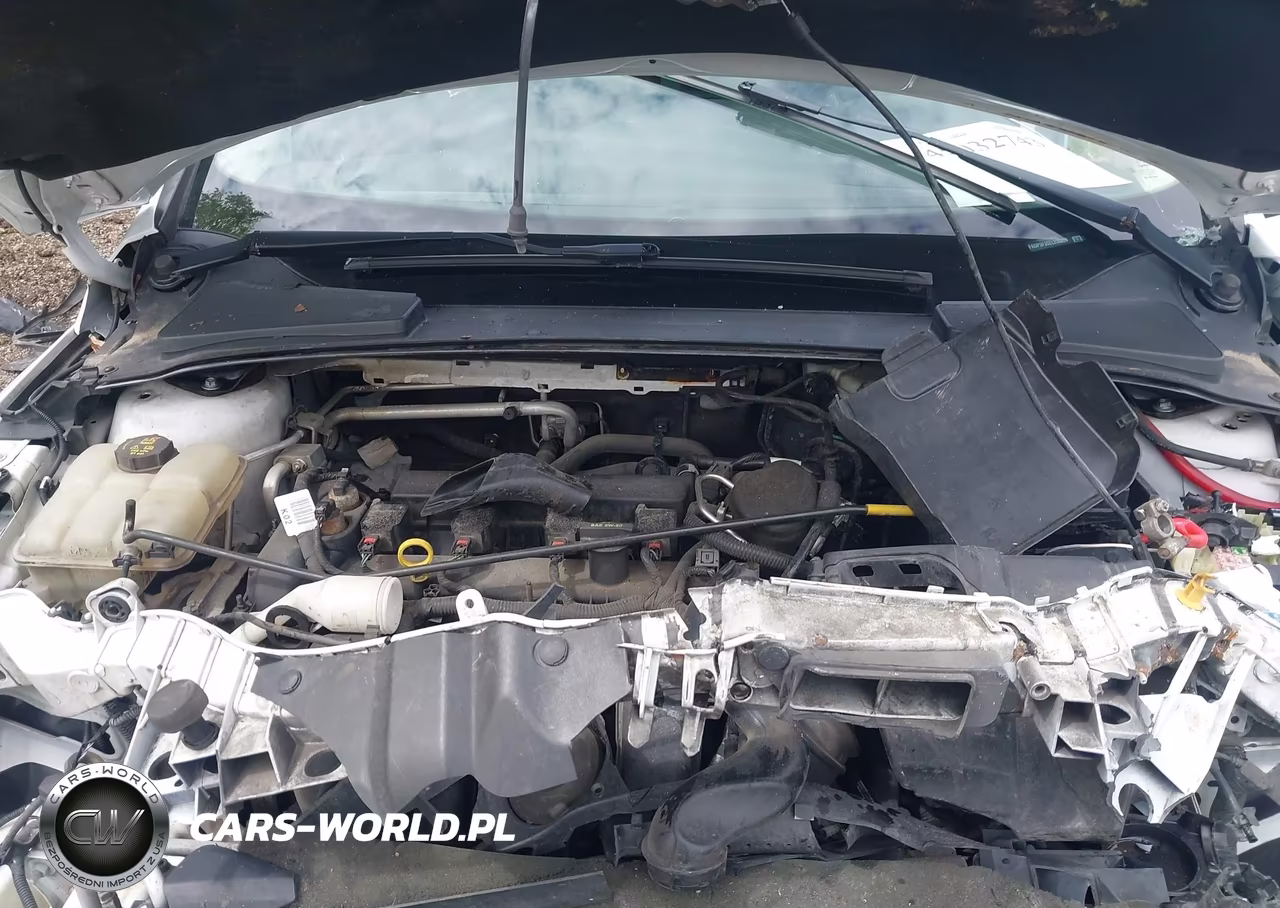 2014 Ford Focus Se VIN:1FADP3F26EL235098 - 10