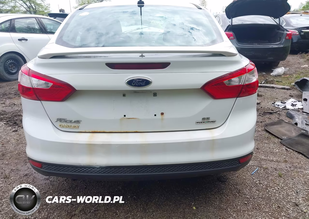 2014 Ford Focus Se VIN:1FADP3F26EL235098 - 17