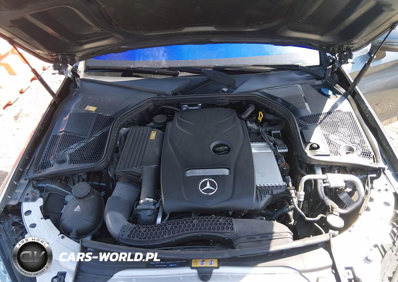 2017 Mercedes-Benz C 300 VIN:WDDWJ4JB8HF367256 - 10