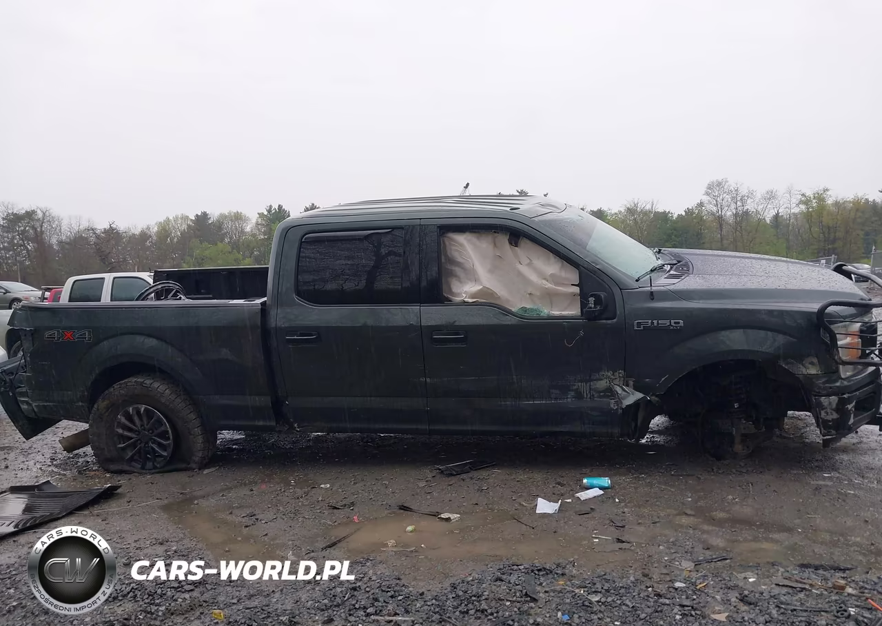 2018 Ford F-150 Xlt VIN:1FTFW1EG0JKF11301 - 12