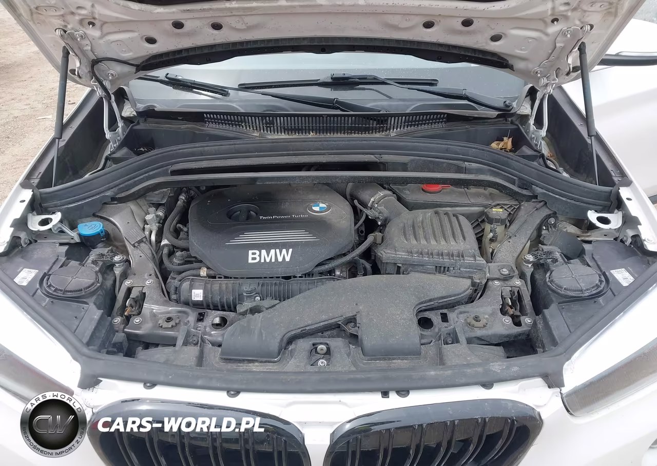 BMW X1 XDRIVE2 VIN:WBXHT3C36J3H32768 - 10