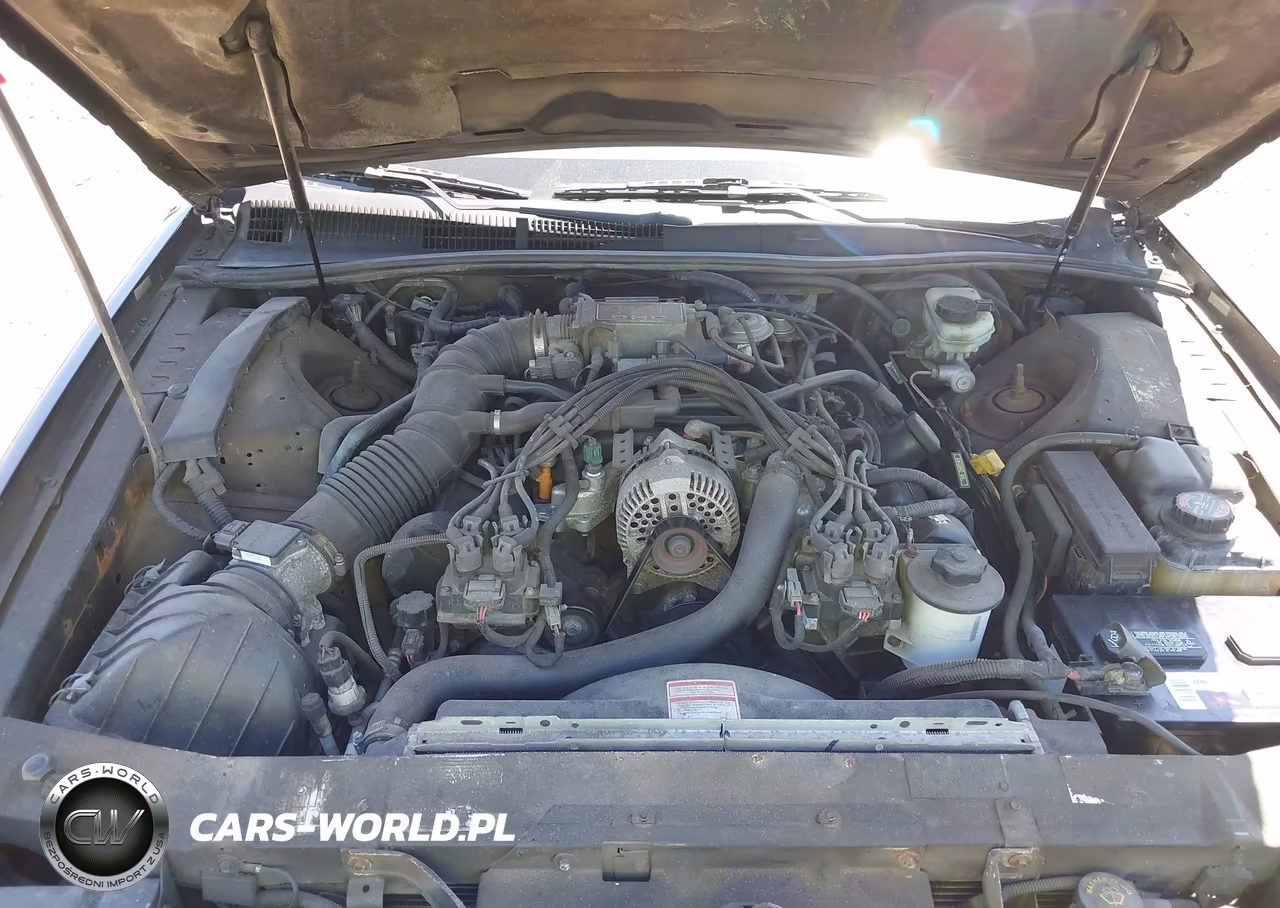 1997 Ford Thunderbird Lx VIN:1FALP62W8VH156475 - 10