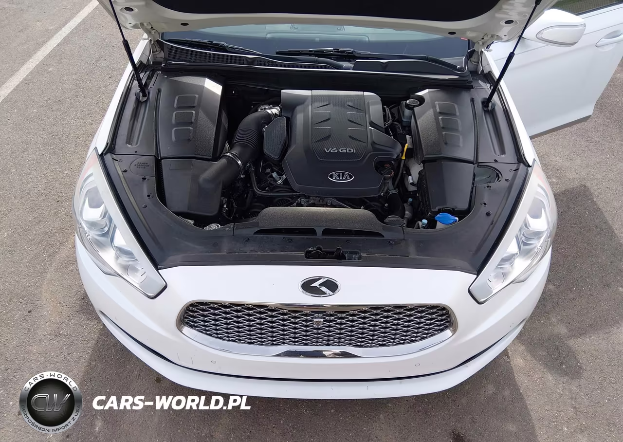 2016 Kia K900 Luxury 3.8L VIN:KNALU4D3XG6032164 - 10