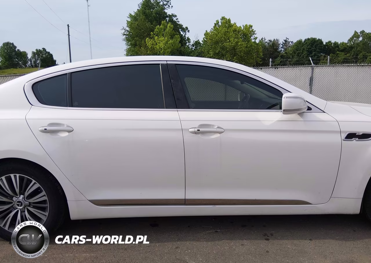 2016 Kia K900 Luxury 3.8L VIN:KNALU4D3XG6032164 - 14