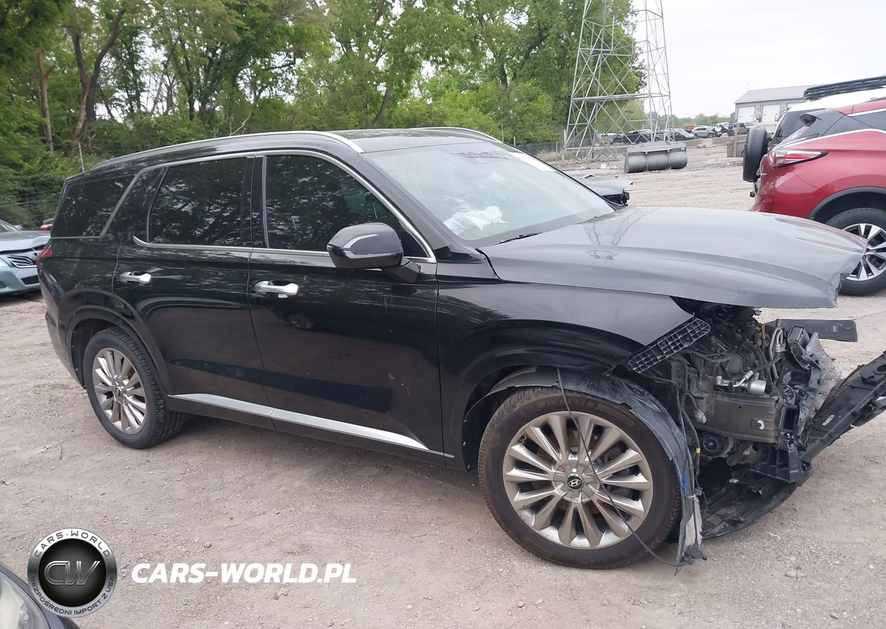 2020 Hyundai Palisade Limited VIN:KM8R5DHE3LU163167 - 12