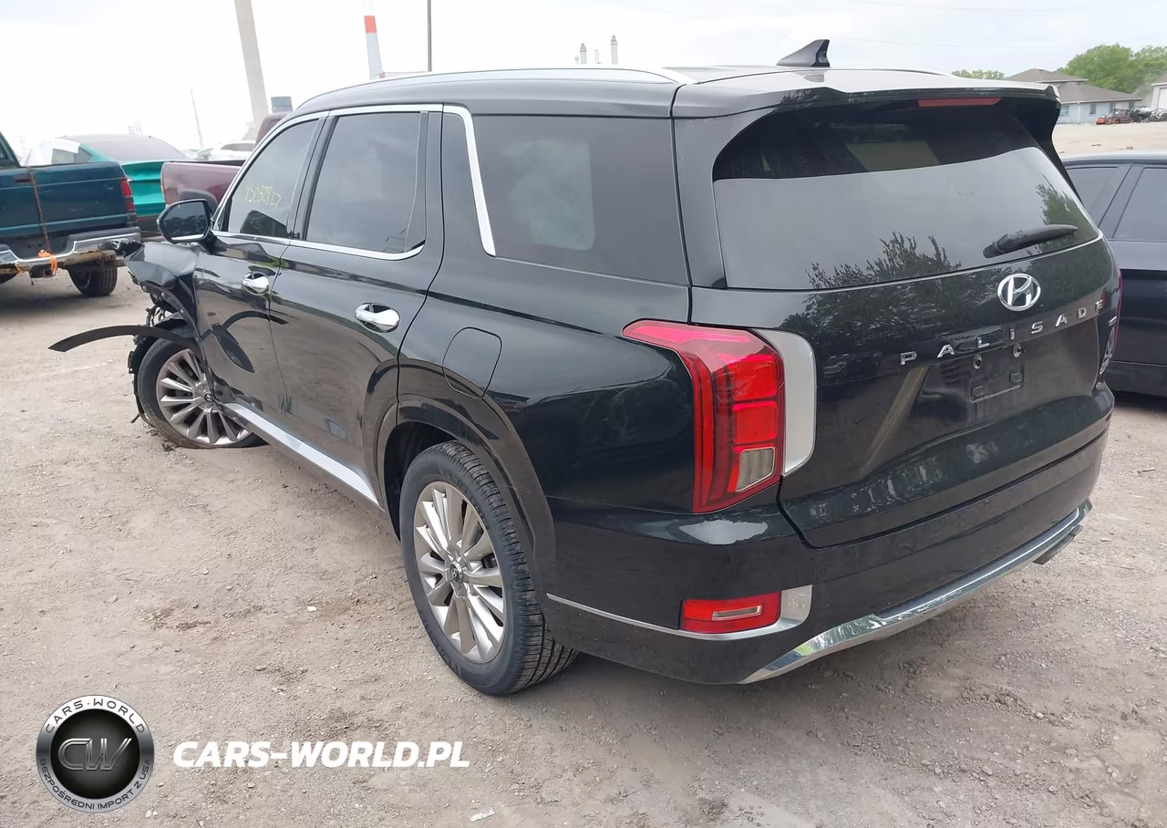 2020 Hyundai Palisade Limited VIN:KM8R5DHE3LU163167 - 3