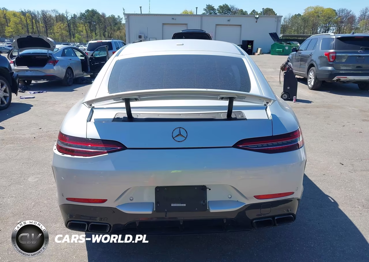 2020 Mercedes-Benz Amg Gt 63 4-Door Coupe VIN:WDD7X8JB0LA015675 - 17