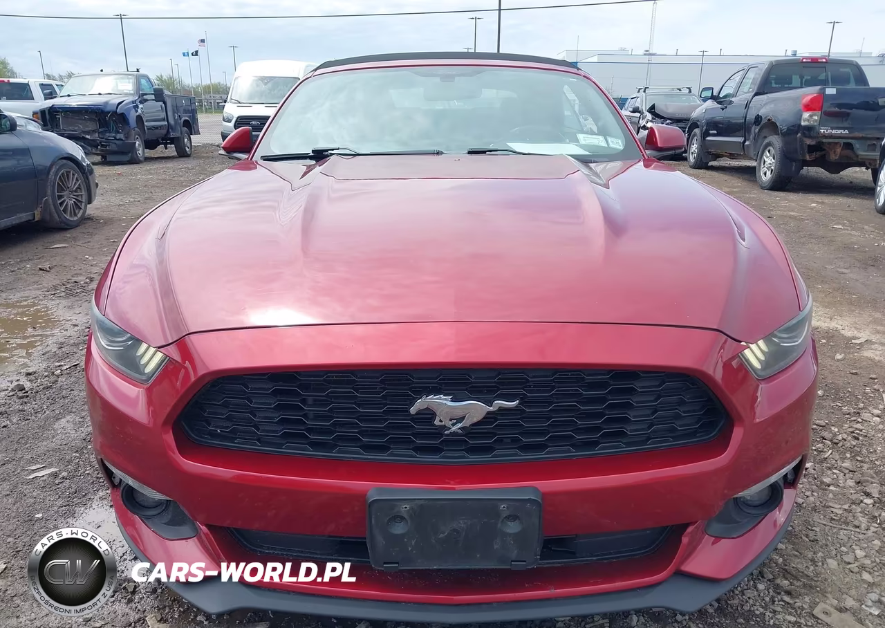 2016 Ford Mustang V6 VIN:1FATP8EM1G5259974 - 12