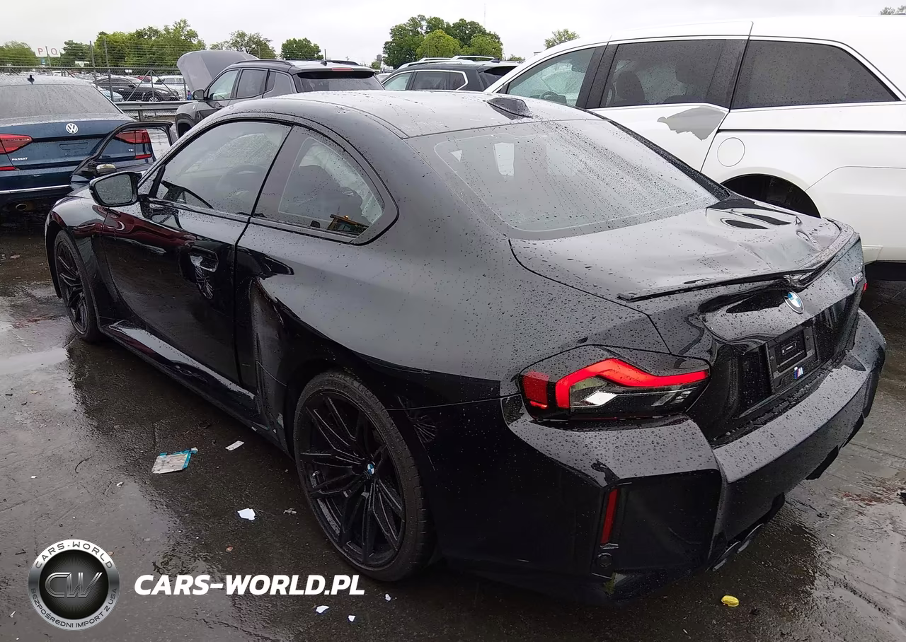 2025 BMW M2 VIN:3MF23DM09S8F54919 - 3