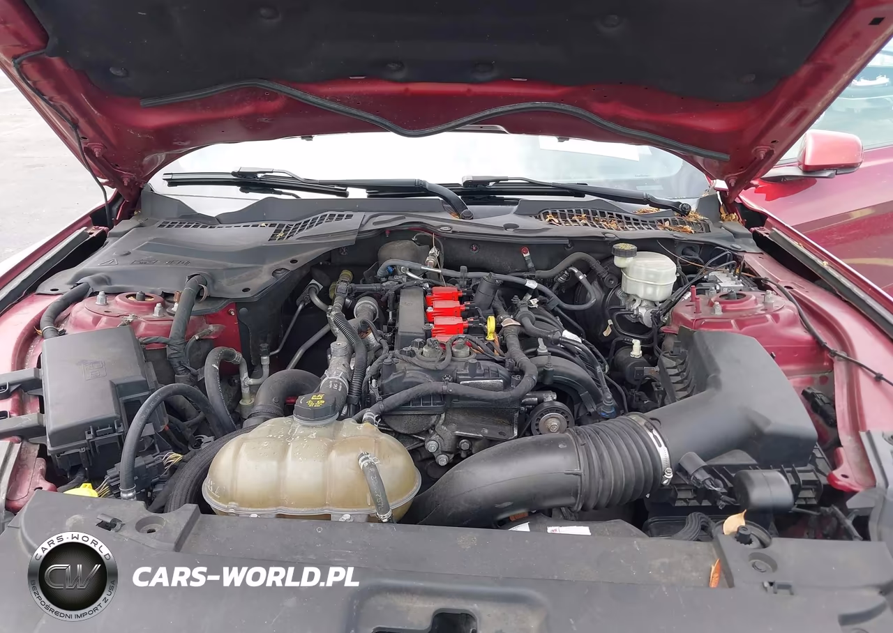 2017 Ford Mustang Ecoboost VIN:1FA6P8TH8H5286383 - 10
