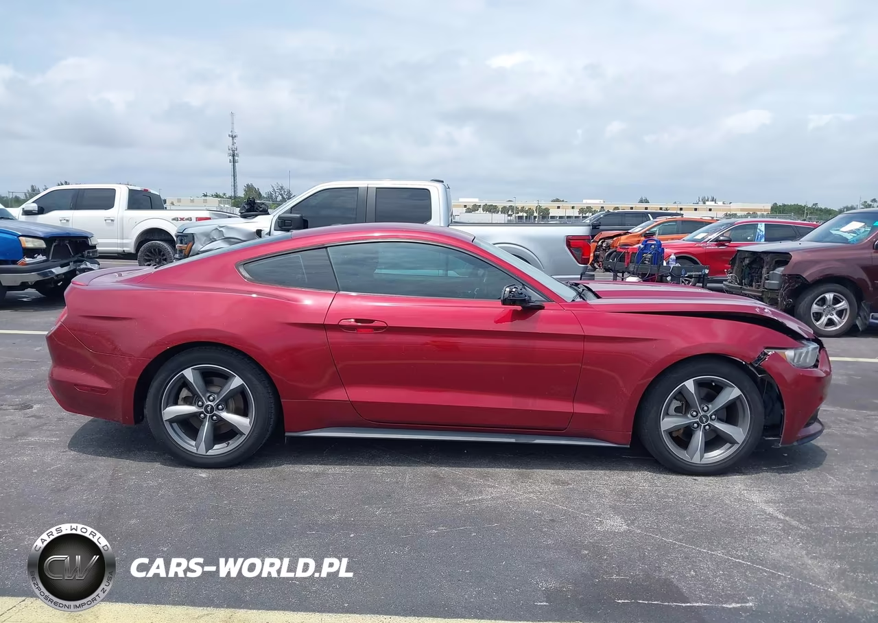 2017 Ford Mustang Ecoboost VIN:1FA6P8TH8H5286383 - 13