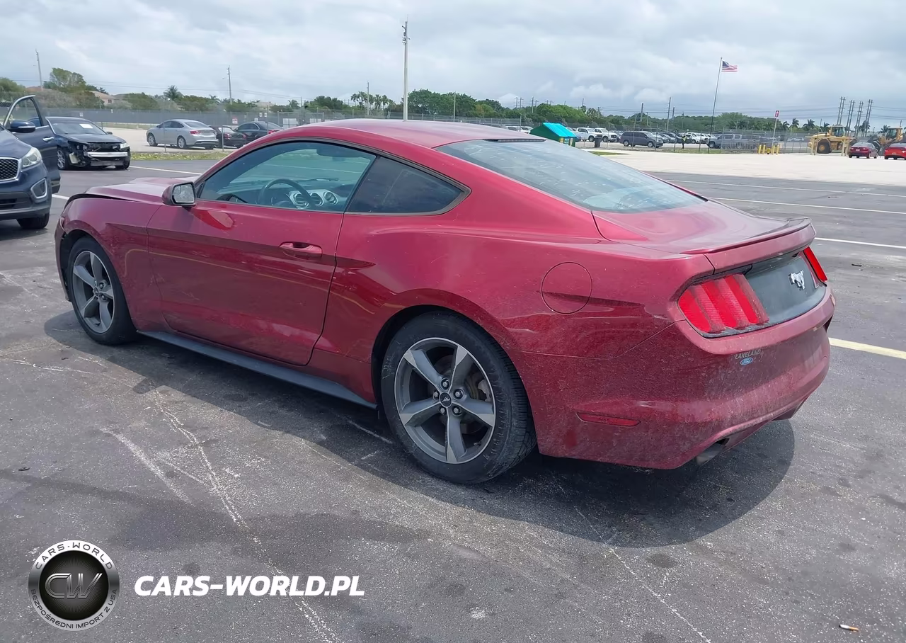 2017 Ford Mustang Ecoboost VIN:1FA6P8TH8H5286383 - 3