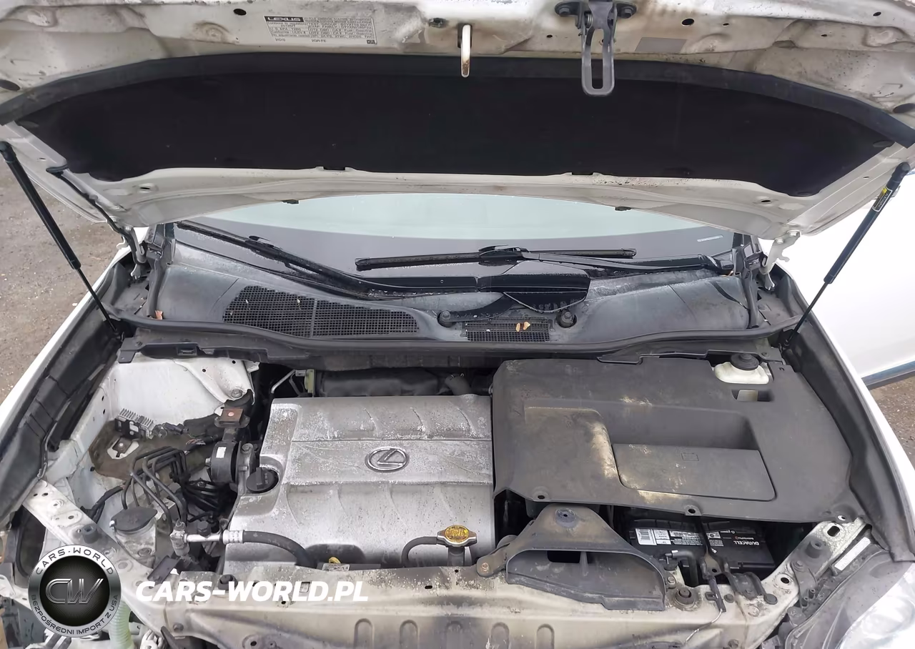 2013 Lexus Rx 350 VIN:2T2BK1BA2DC175923 - 10