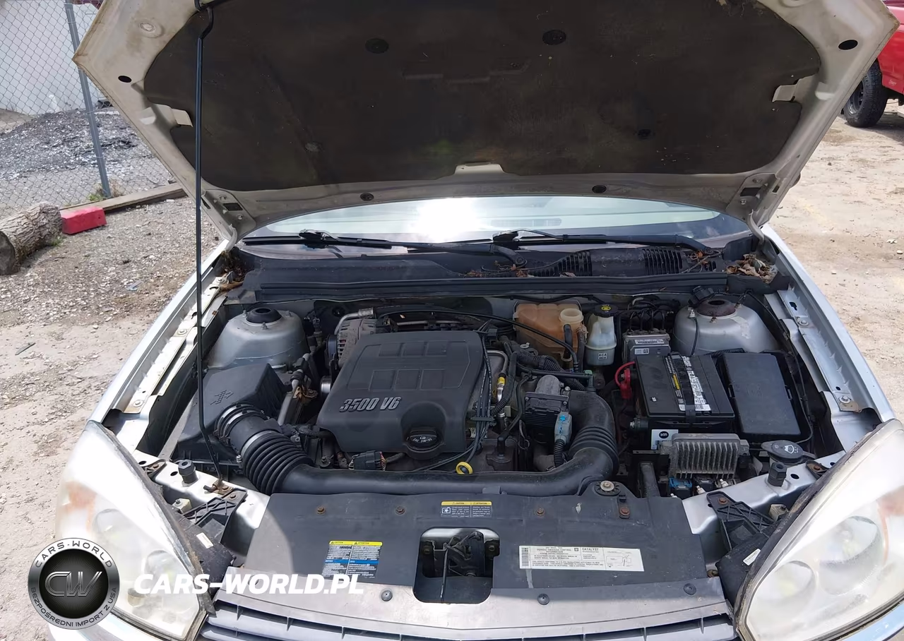 2004 Chevrolet Malibu Ls VIN:1G1ZT54894F243426 - 10