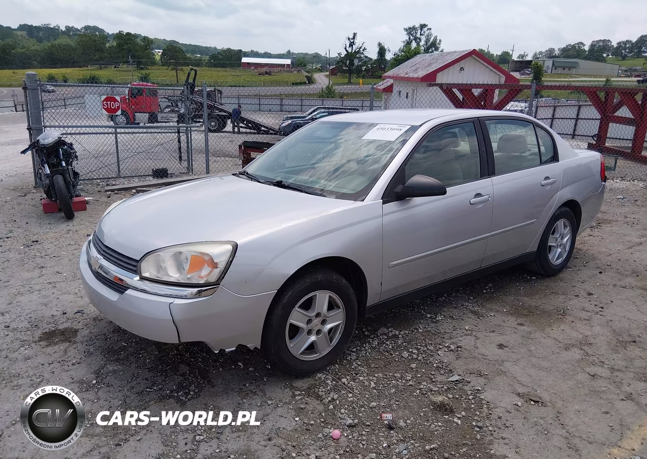 2004 Chevrolet Malibu Ls VIN:1G1ZT54894F243426 - 2