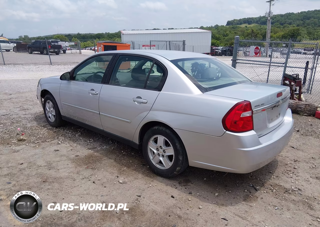 2004 Chevrolet Malibu Ls VIN:1G1ZT54894F243426 - 3