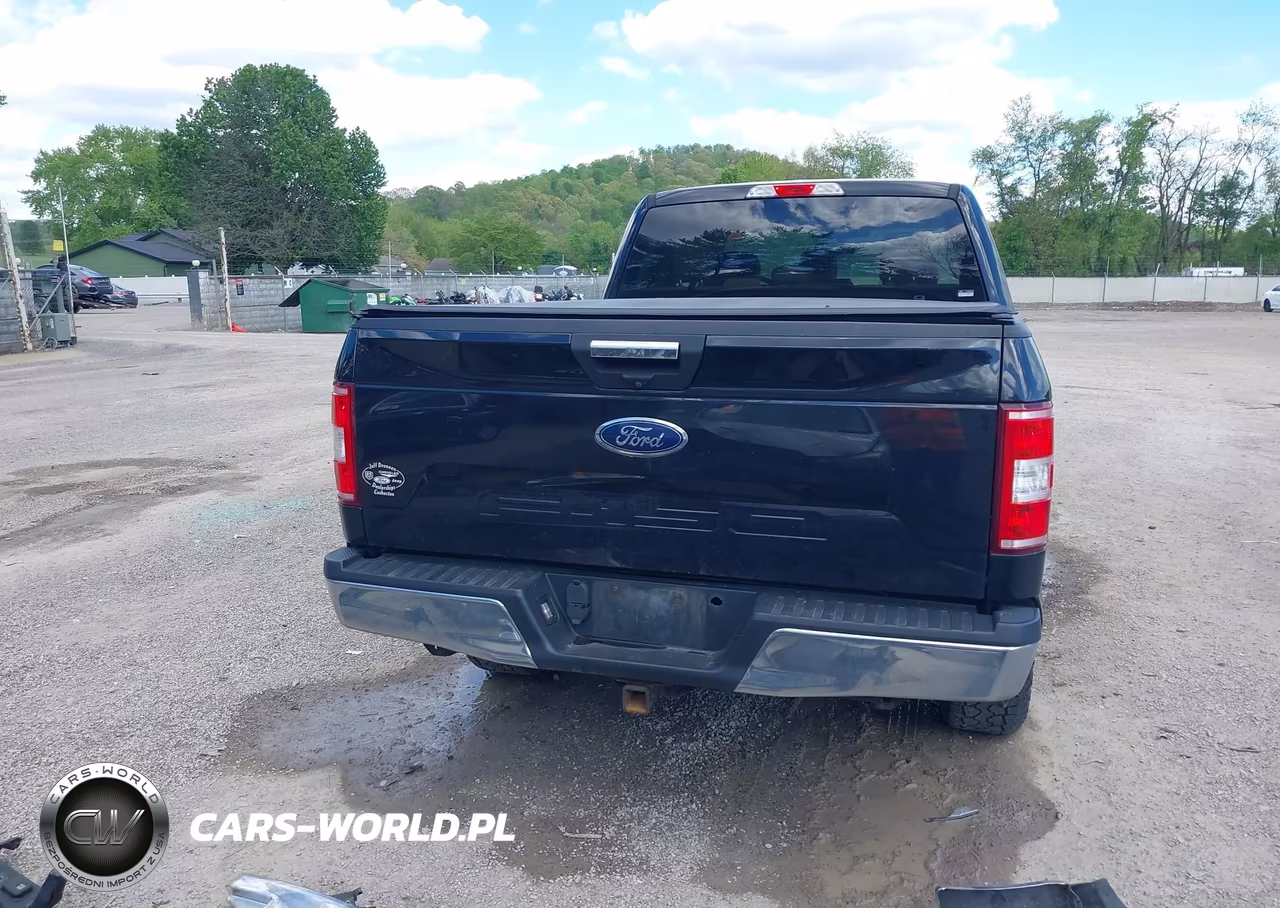 2019 Ford F-150 Xlt VIN:1FTEX1EB1KFA23448 - 17