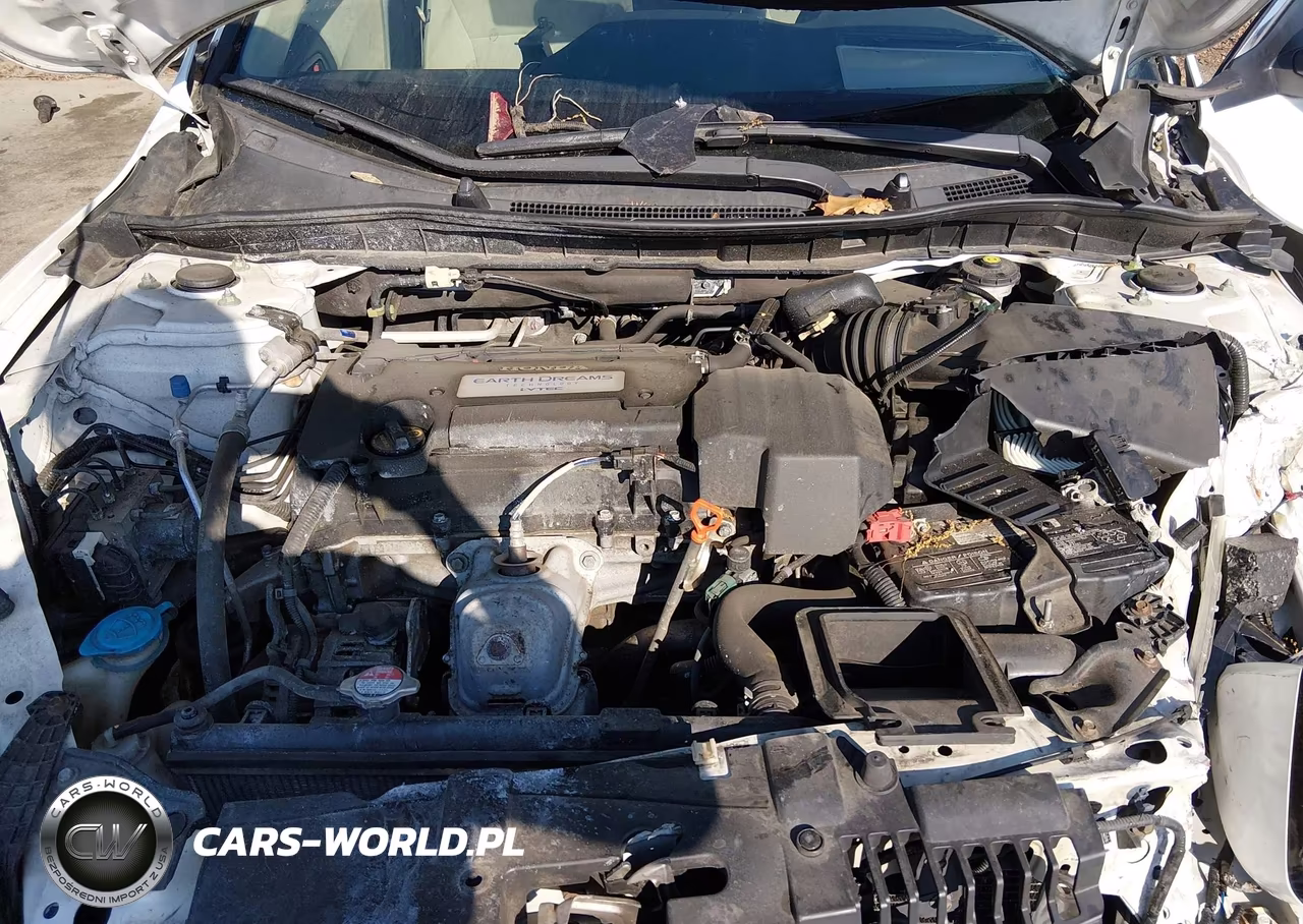 2013 Honda Accord Lx VIN:1HGCR2F38DA273026 - 10