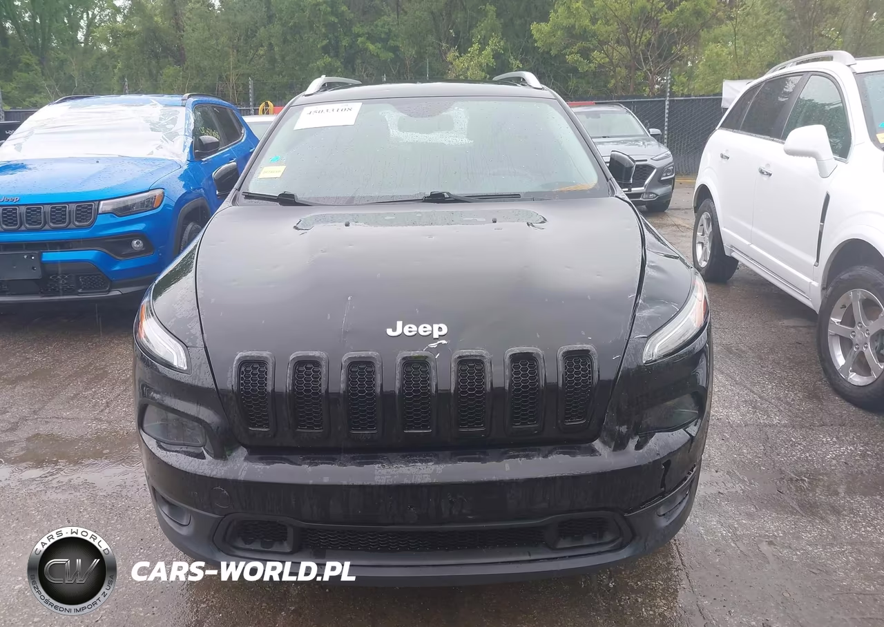 2014 JEEP CHEROKEE LIMITED VIN:1C4PJMDS9EW266300 - 12