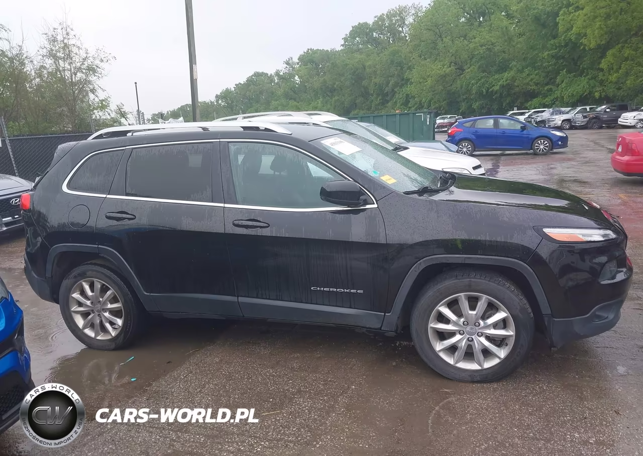 2014 JEEP CHEROKEE LIMITED VIN:1C4PJMDS9EW266300 - 13