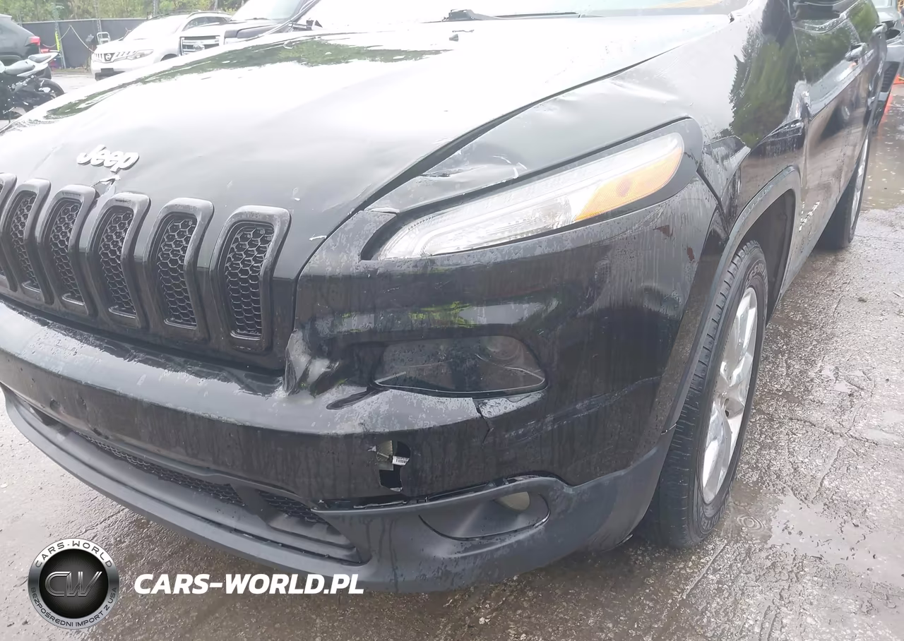 2014 JEEP CHEROKEE LIMITED VIN:1C4PJMDS9EW266300 - 19