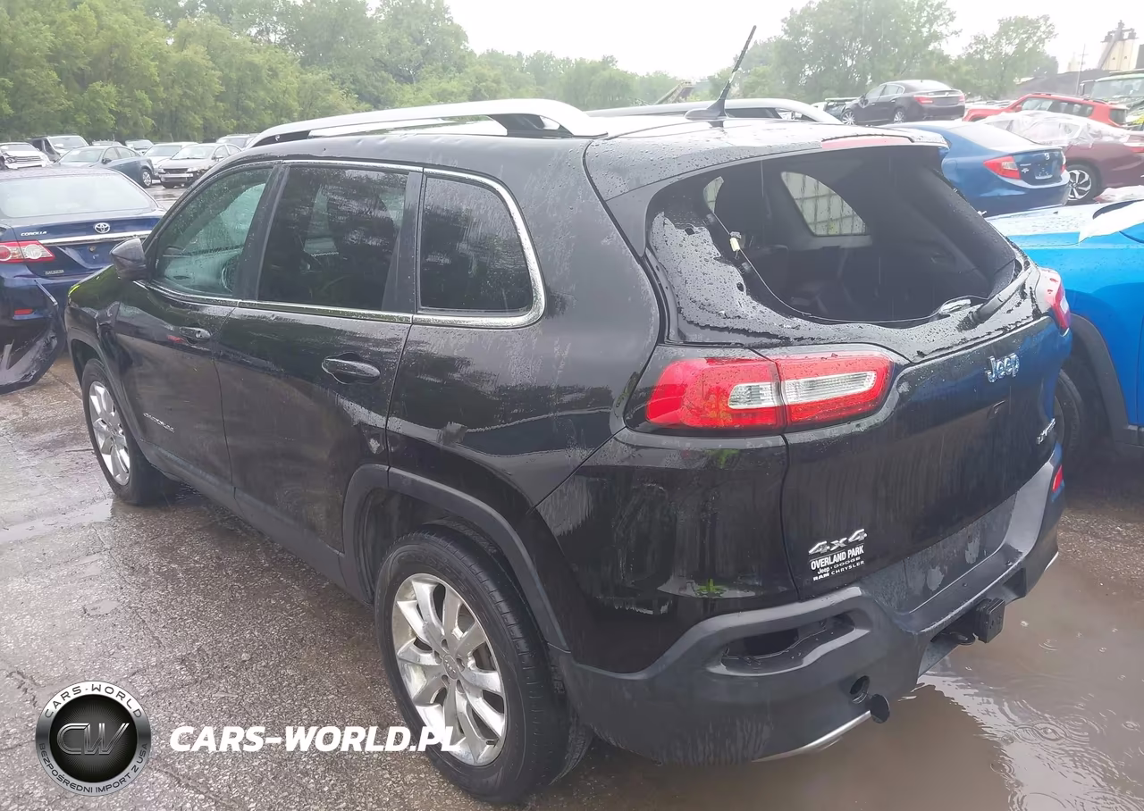 2014 JEEP CHEROKEE LIMITED VIN:1C4PJMDS9EW266300 - 3