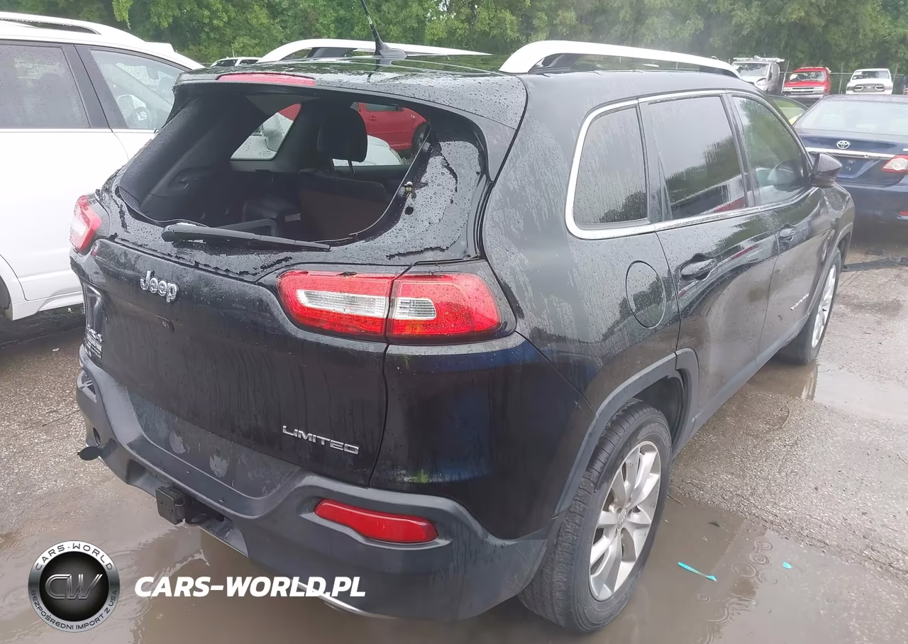 2014 JEEP CHEROKEE LIMITED VIN:1C4PJMDS9EW266300 - 4