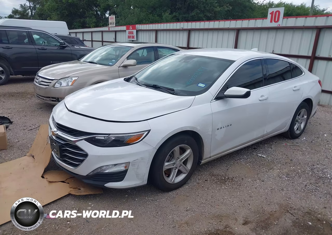 2024 Chevrolet Malibu Fwd 1Lt VIN:1G1ZD5ST9RF166536 - 2