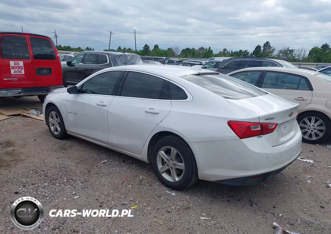 2024 Chevrolet Malibu Fwd 1Lt VIN:1G1ZD5ST9RF166536 - 3