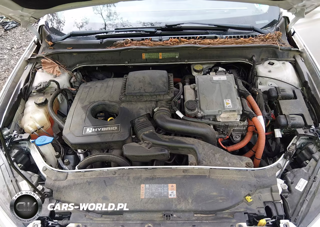 2016 Ford Fusion Hybrid Se VIN:3FA6P0LU9GR239082 - 10