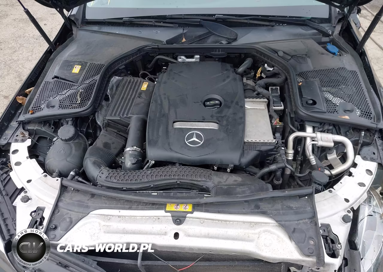 2017 Mercedes-Benz C 300 VIN:55SWF4JBXHU225666 - 10