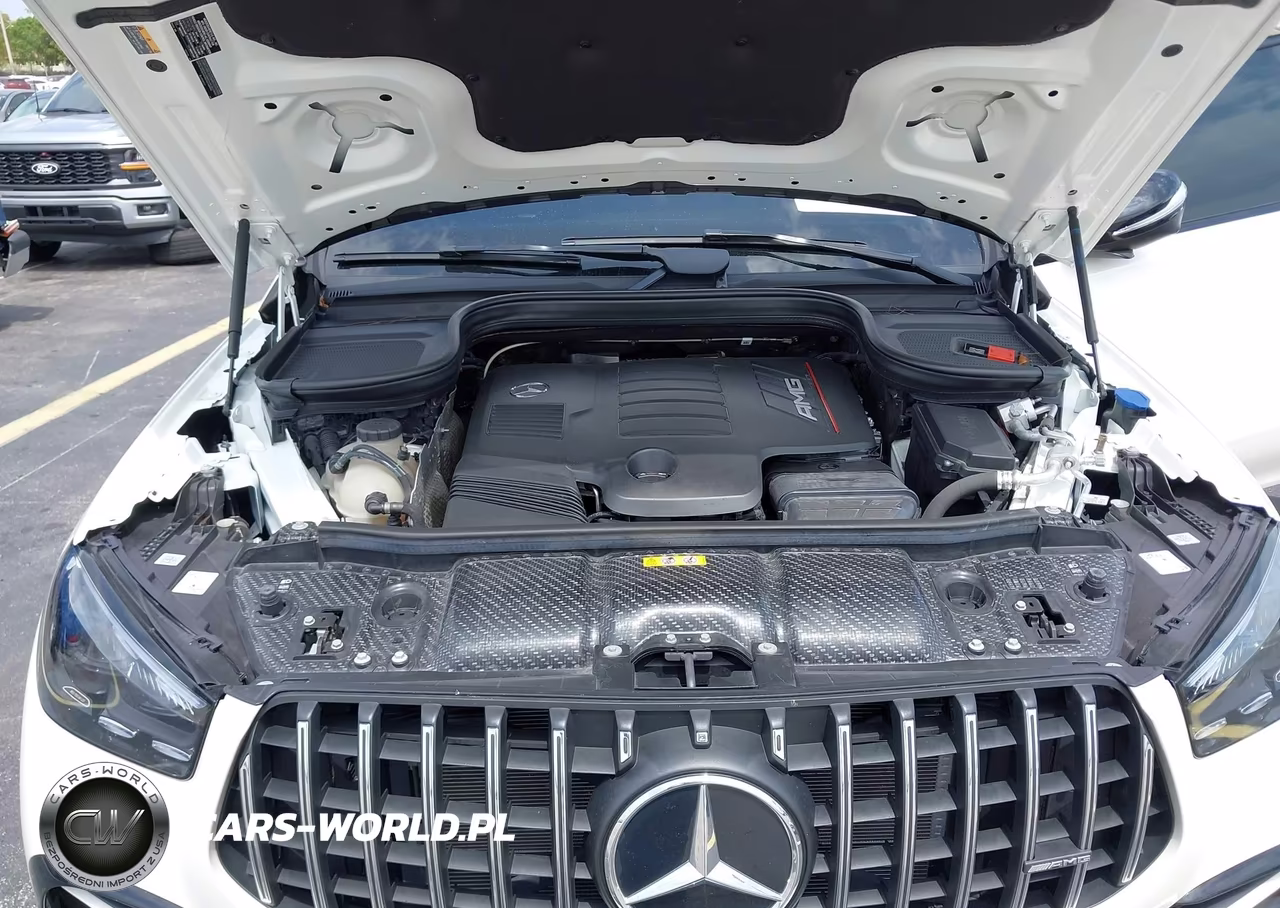 2024 Mercedes-Benz Amg Gle 53 Coupe 4Matic+ VIN:4JGFD6BB9RB100420 - 10